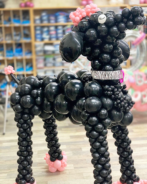 Giant five foot tall sculpture of a show poodle createed from black latex balloons