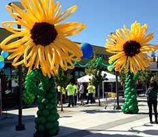 Giant sunflower balloon sculptures are used to attract customers for a sales event at Whole Foods